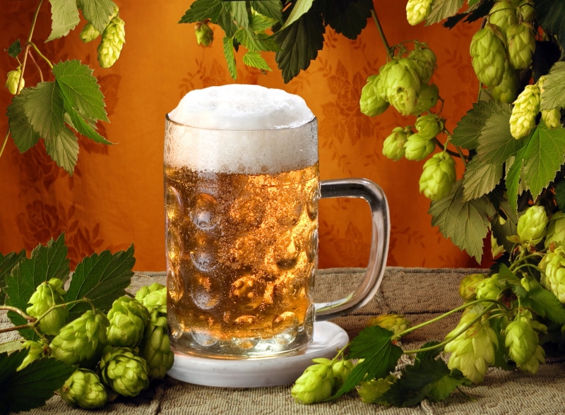 nature, gold Colored, pub, refreshment, pint Glass, alcohol, yellow, brewery, backgrounds, oktoberfest, bar - Drink Establishment, 1080P, indoors, close-up