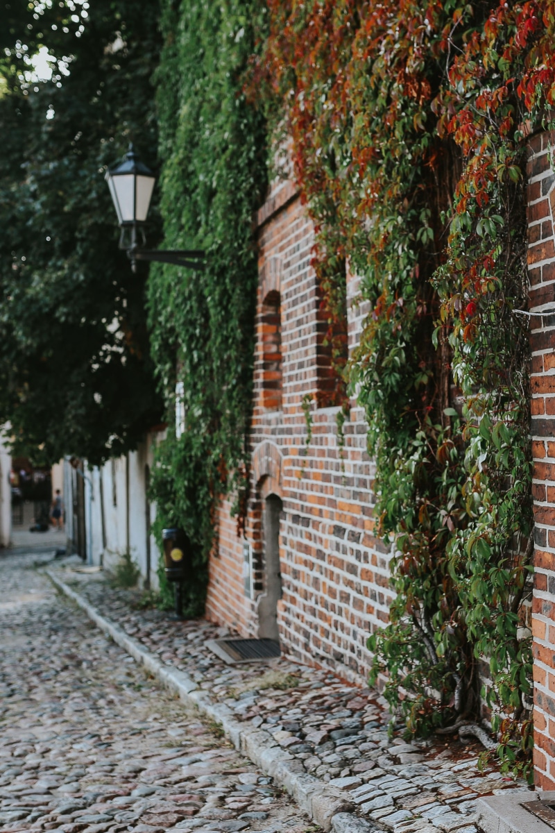 cobblestone, alley, building, brick, plant part, no people, built structure, growth, urban Scene, town, house, leaf, lighting equipment, footpath, street