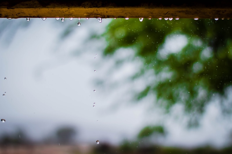 nature, rain drops, blur, 5K, woman, selective focus, water, tree, window, transparent, photography, plant, weather, outdoors, waterdrops, wet, rain, raindrops
