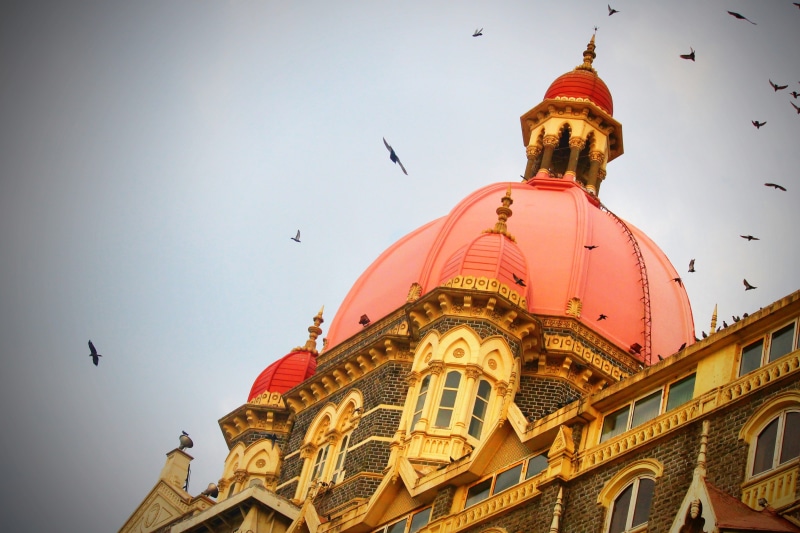 flock of birds, animal themes, hotel, religion, bird, spirituality, history, 4K, sky, belief, animal, no people, building, city, click, outdoors, tower