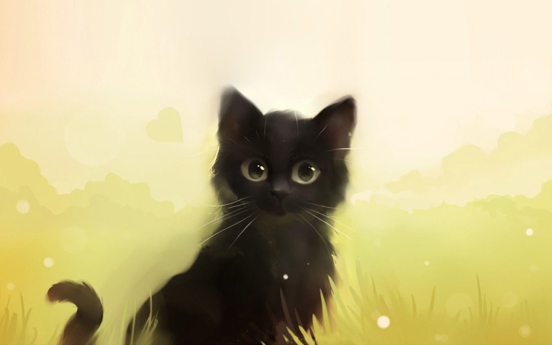 digital art, black, kitty, 1920x1200, 1080P, kitten, curious, bombay