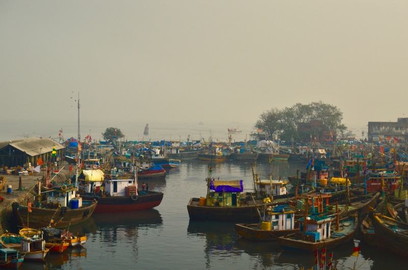 port, building exterior, clear sky, mumbai, fishing industry, sassoon docks, moored, day, waterfront, harbor, 5K, boatt, sasoon dock, ferry, architecture