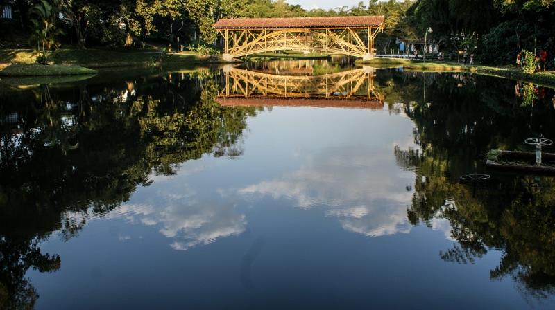 park, 4K, tranquility, colombia, lake, tree, nature, waterfront, bridge, tranquil scene, pereira, reflejo, sky, outdoors, built structure, water, day
