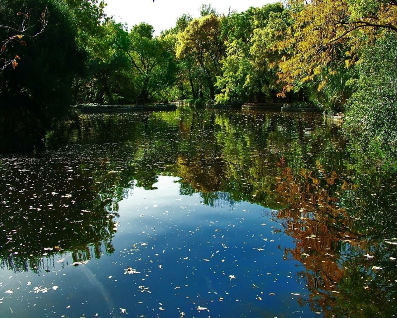 estanque, en, art, lakes, pond, el, hd, nature, REFLECTION, 720P, reflejos