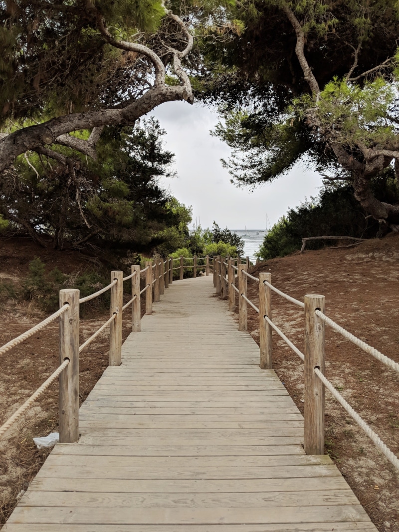 way, staircase, direction, wood, spain, day, the way forward, nature, wood - material, tree, wood paneling, connection, ibiza, railing, outdoors, trees