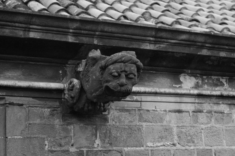 built structure, gargoyle, animal wildlife, stones, gothic quarter, ancient, palacio viejo, animal themes, cat, day, building exterior, edificio viejo