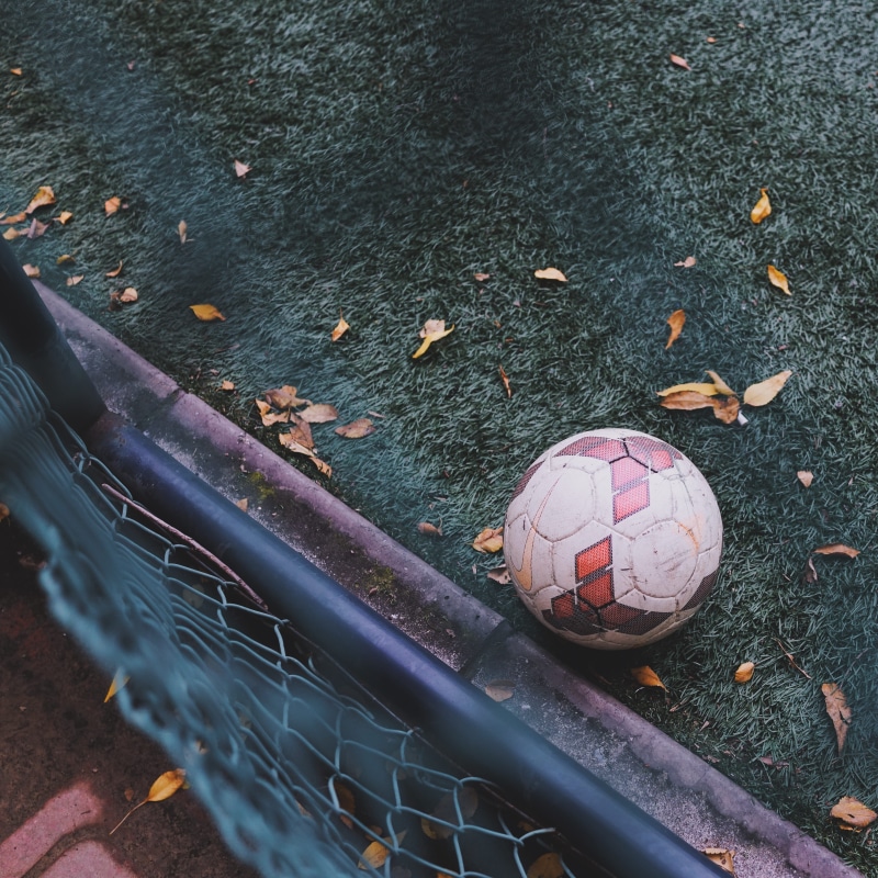 sport, green, city, grass, ball, day, net, sports equipment, high angle view, game, soccer ball, fence, leaves, leaf, land, football, team sport, close-up