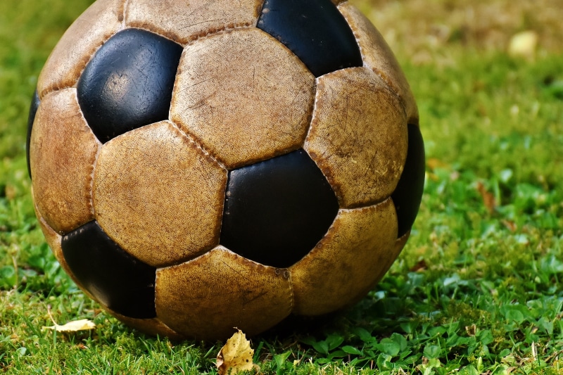 focus on foreground, day, soccer ball, grass, field, soccer, black, team sport, close-up, world cup, ball game, sunlight, brown, shadow, ball, ball sports