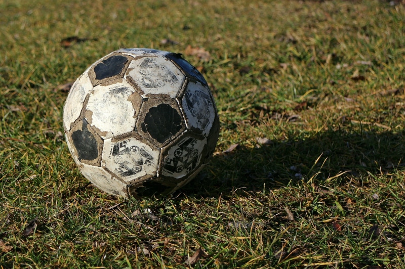 worn, Ball, sports equipment, high angle view, Football, soccer, white, no people, reptile, team sport, Imitation Leather, grass, day, field, outdoors