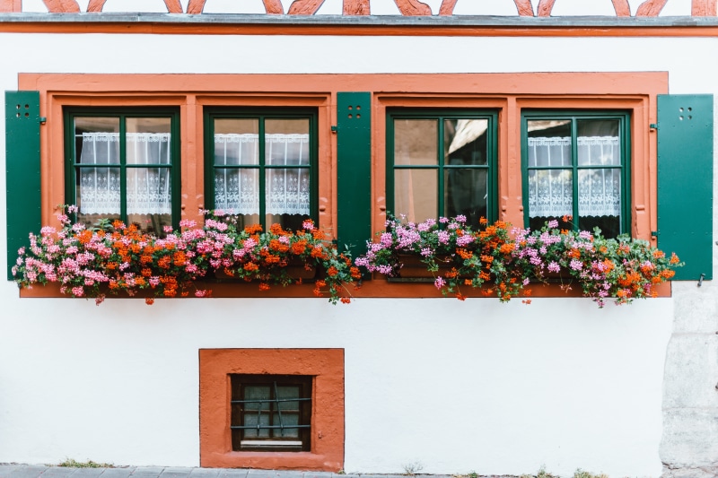 building exterior, summer, architecture, decor, outdoors, pots, growth, white, flower, rothenburg, vulnerability, day, window box, daytime, built structure