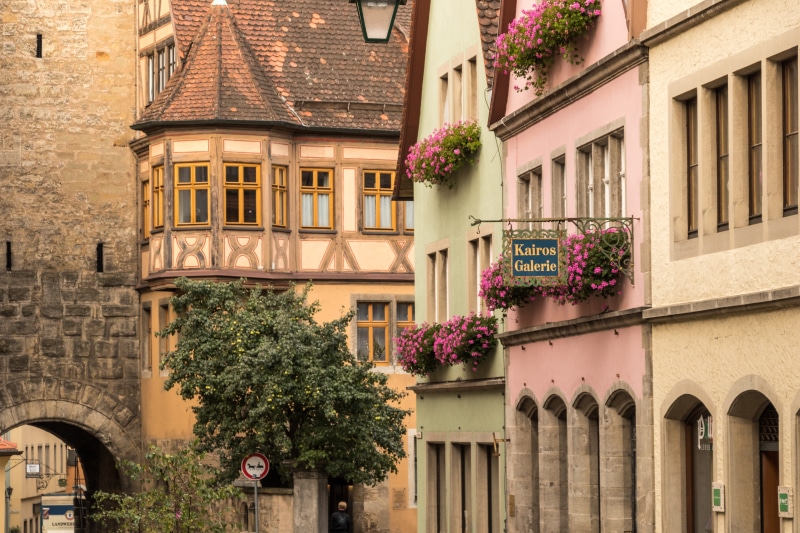 5K, tree, city, old town, rothenburg of the deaf, architecture, growth, no people, downtown, window, outdoors, tower, middle ages, low angle view, residential district
