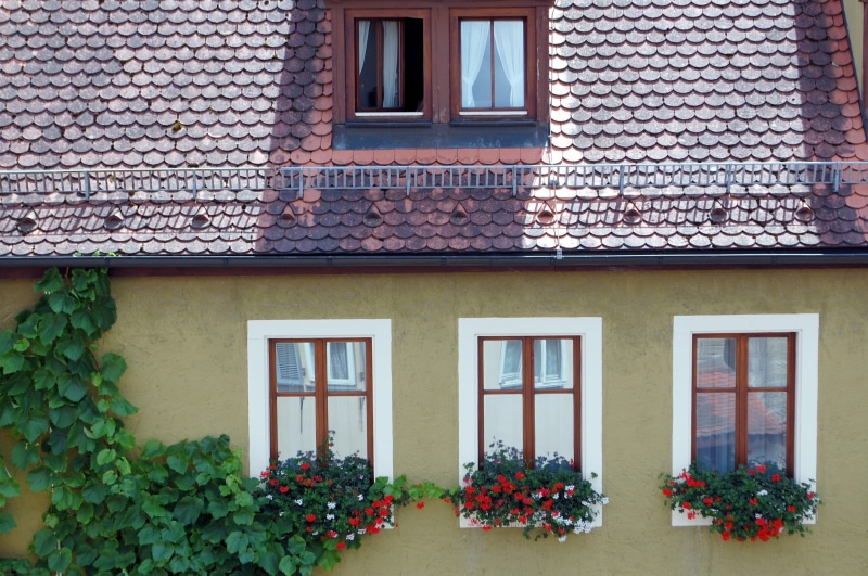 flowering plant, outdoors, building, house, built structure, nature, plant, 2K, yellow, rothenburg, flower, glass - material, facade, architecture, entrance