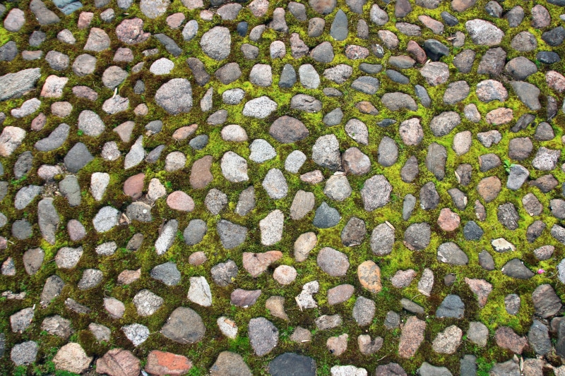 outdoors, arrangement, 2K, no people, day, close-up, texture, abundance, sidewalk, outdoor, full frame, paving, road, closeup, cobblestone, backgrounds