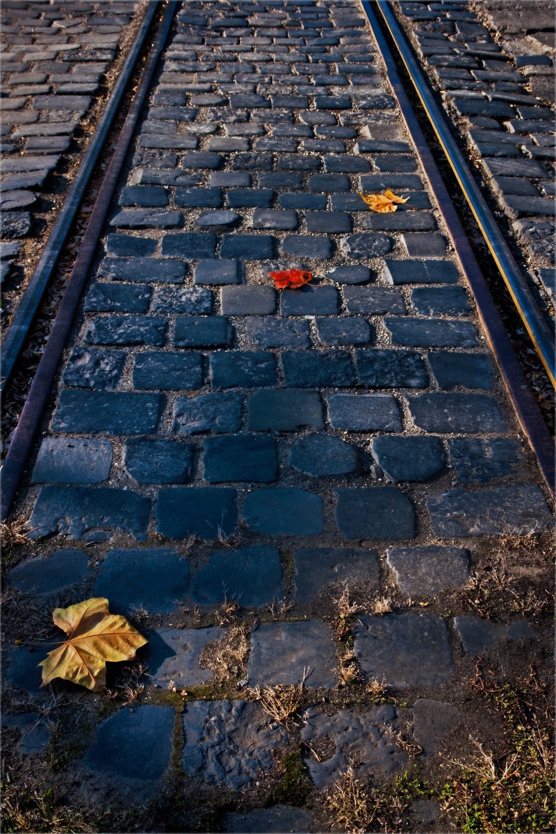 old, wagon, day, 2K, steel, line, Railway, sunlight, rail transportation, transport, train tracks, leaves, road, street, footpath, red, railroad track