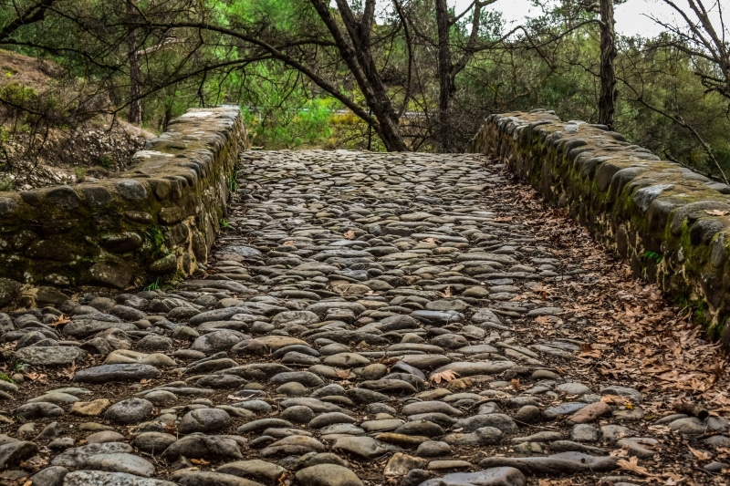 traditional, direction, cobbled road, footpath, stone - object, tree, day, land, pathway, tranquility, diminishing perspective, no people, the way forward