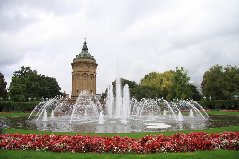 flowers, flower, built structure, fountain, growth, germany, 4K, travel destinations, splashing, flowerbed, water, day, building exterior, sky, cloud - sky