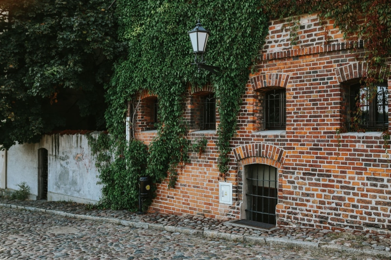plant, residential building, nature, wall - Building Feature, tree, stone Material, built Structure, residential district, no people, brick wall, 5K, red brick