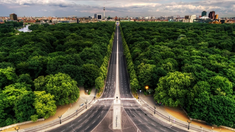 day, tree, direction, Berlin, transportation, 1080P, green color, diminishing perspective, black, street, the way forward, outdoors, road, growth, concrete
