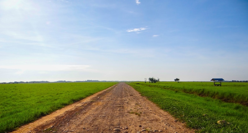 llanero, day, offroad, oriental lands, landscape, outdoors, environment, field, no people, road, diminishing perspective, green color, direction, vanishing point
