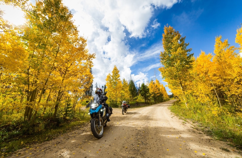 tree, Touring, outdoors, Cool, sigma816, off-road, Seasons, Explore, StillwaterPass, visit, Trees, r1200gs, fallcolors, Nature, dirtroad, Travel, Aspens