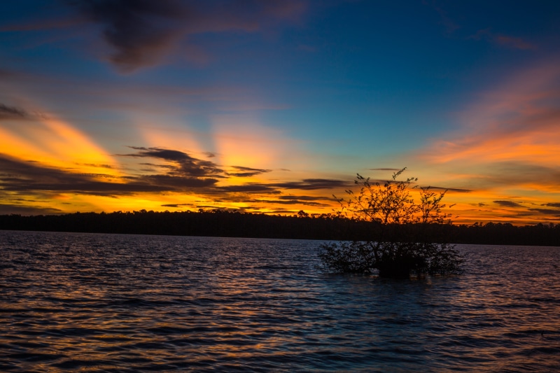 romantic sky, blueorangesky, sky, beauty in nature, idyllic, tree, 5K, mukono, waterfront, outdoors, tranquil scene, lake, bluesky, tranquility, lakevictoria
