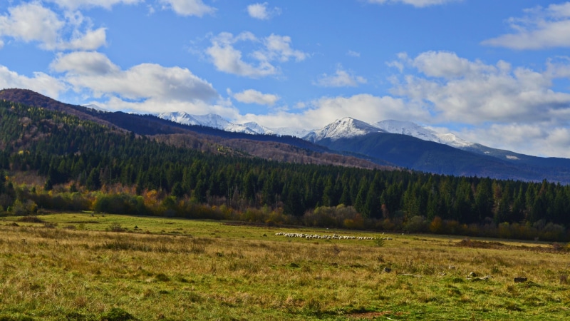 mountain, 4K, bluesky, forest, autumn