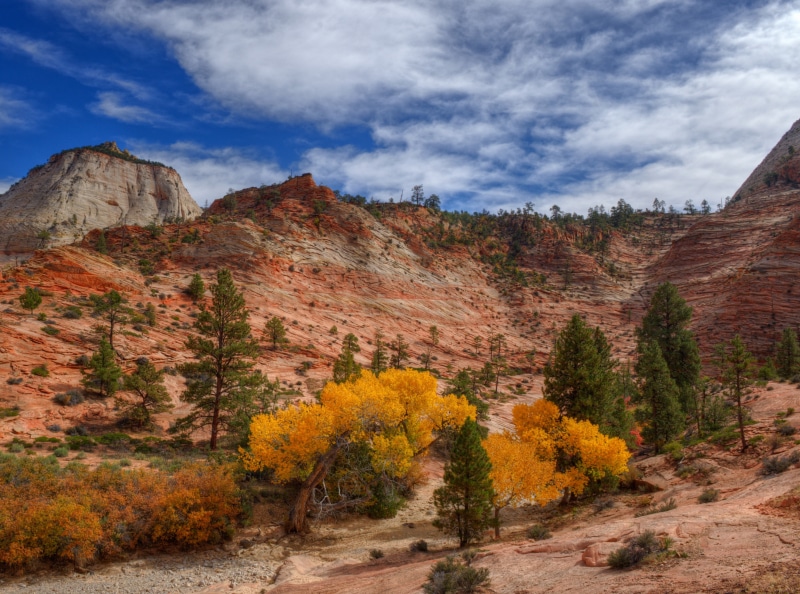 Fall, Leaves, aspen, land, rock - object, unitedstates, traveltheworld, outdoors, Holiday, climate, national, Utah, Colors, Adventure, touristattraction