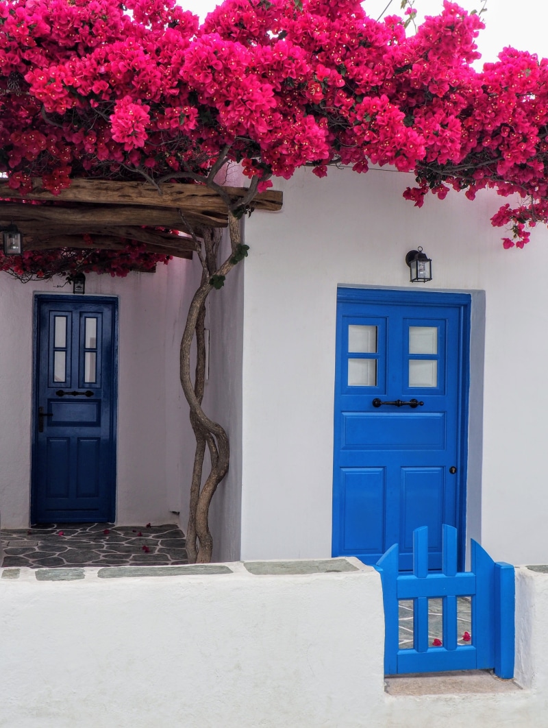 treille, cherry blossom, Greece, 4K, flowers, tree, wooden, pink color, cyclades, growth, flowering plant, red, entrance, concrete, no people, flower ruge
