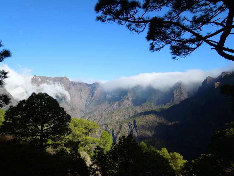 day, non-urban scene, scenics - nature, landscape, plant, idyllic, caldera, travel destinations, mountain, environment, pine woodland, tranquil scene, tranquility