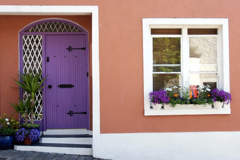 pink color, nature, plant, outdoors, entrance, wall - building feature, architecture, building, no People, houseplant, purple, residential Building, Door
