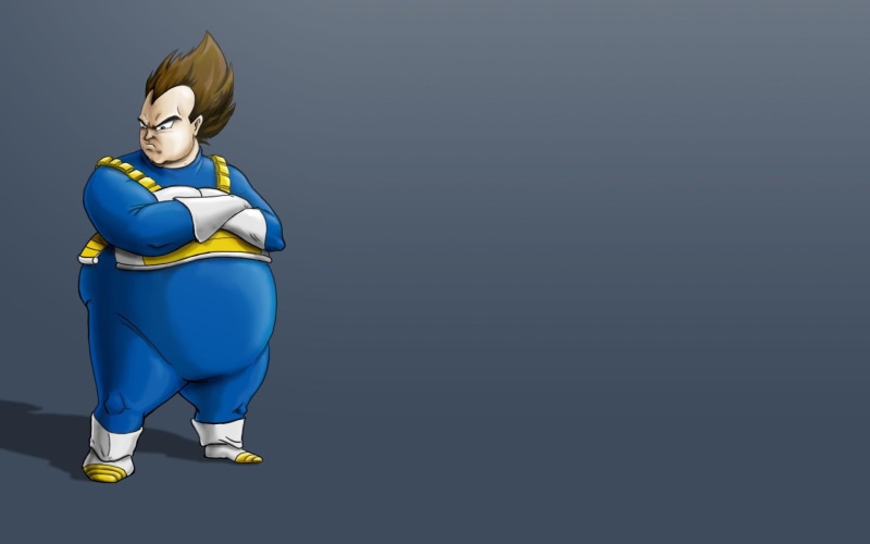 fat, 1920x1200, 1080P, vegeta, dragon ball z, dragon ball, funny, illustration