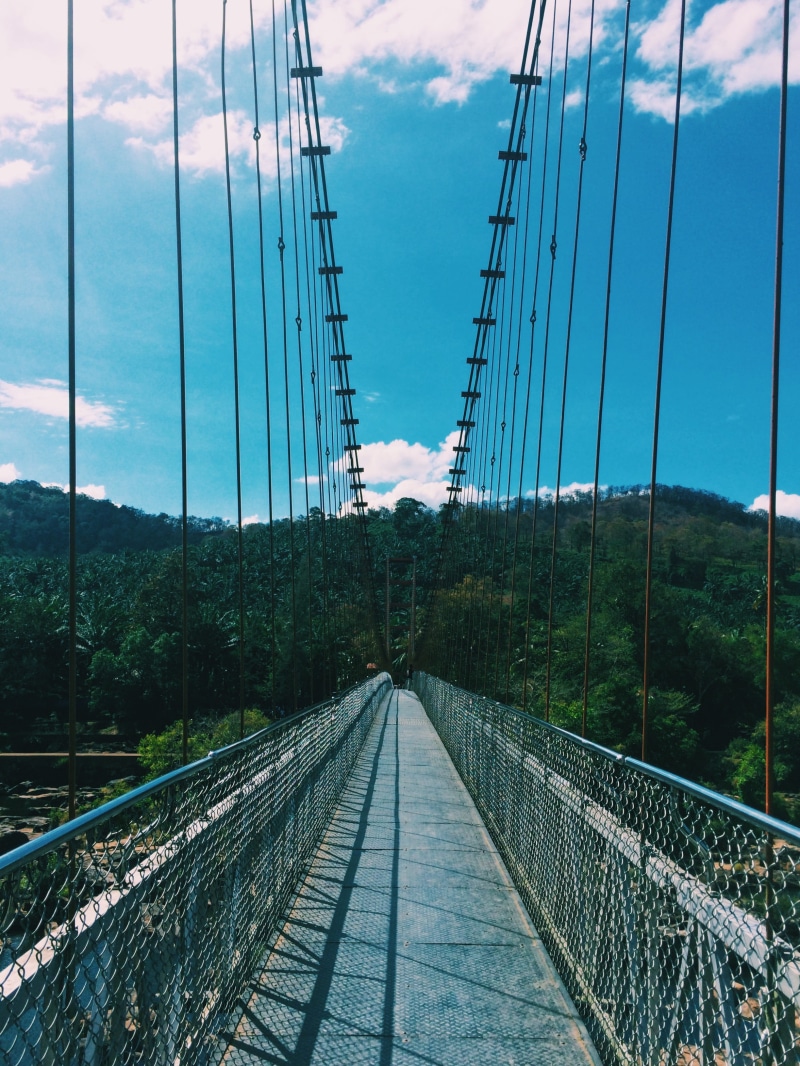 no people, tree, architecture, cable, footbridge, power supply, nature, day, ezhattumugham-thumboormuzhi cable suspension bridge, diminishing perspective