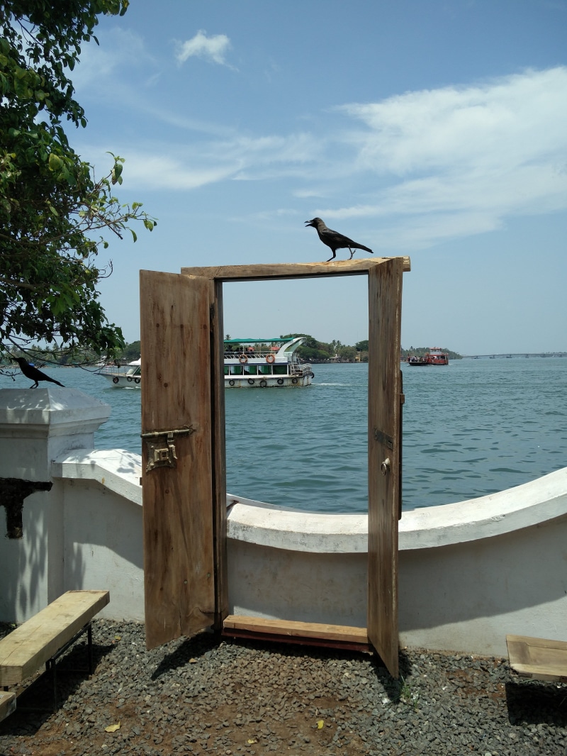 tree, mode of transportation, nautical vessel, waterfront, door, wood - material, day, gate, wooden post, built structure, beach, no people, beauty in nature