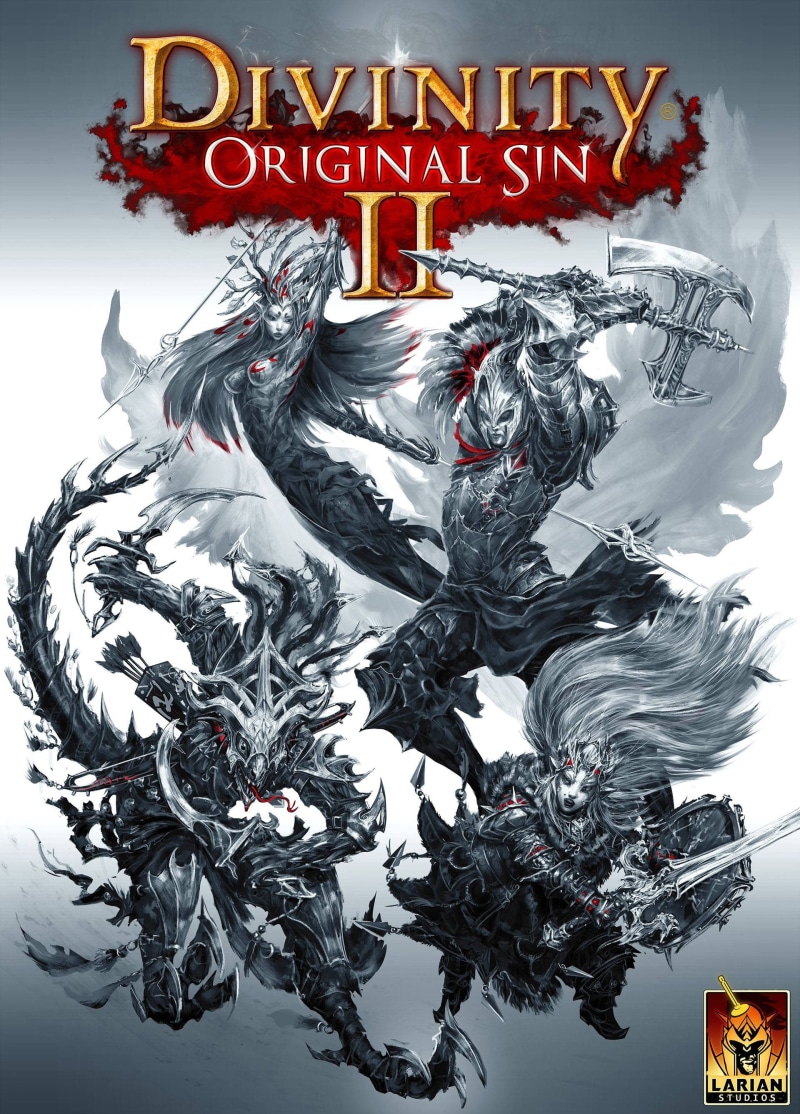 2K, video games, Divinity: Original Sin 2, Divinity: Original Sin, Game poster