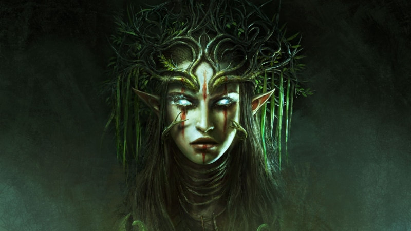 portrait, 1080P, face, girl, Divinity: Original Sin 2