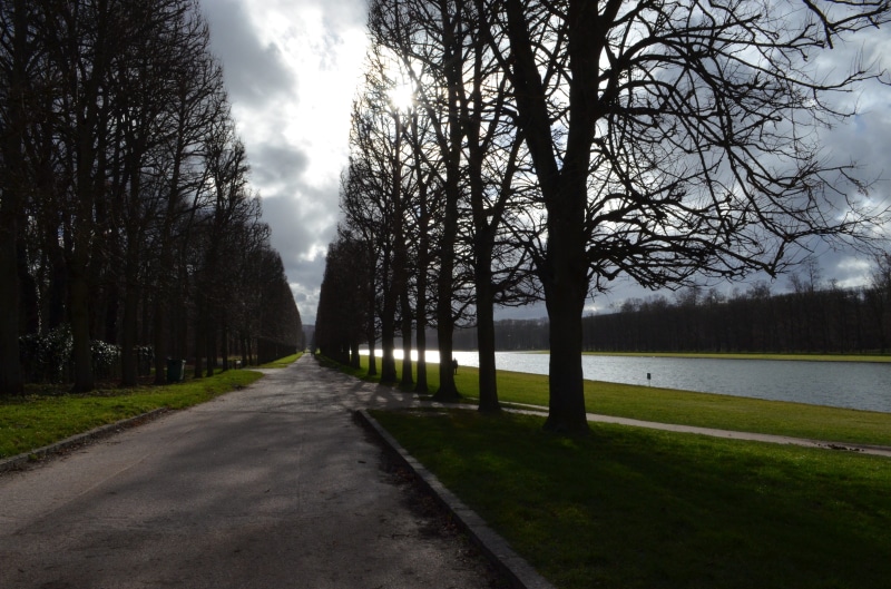 trees, versailles, treelined, path, tranquility, plant, gardens, the way forward, no people, trunk, grass, water, direction, empty, tree, cloud - sky, transportation