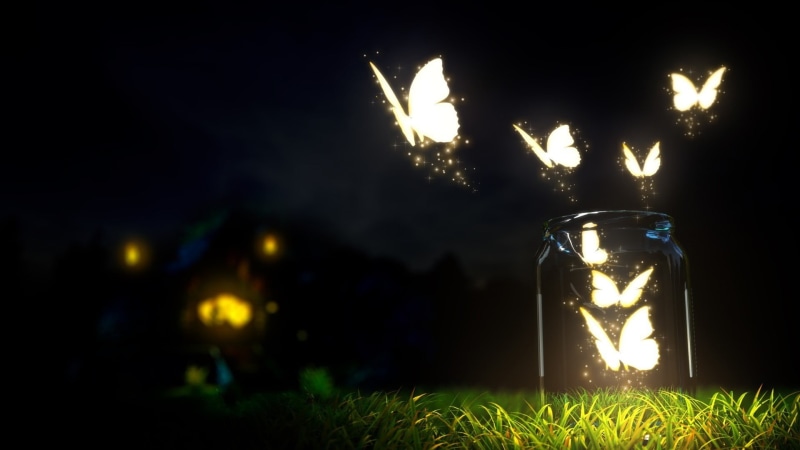 glowing, food and drink, celebration, transparent, night, black background, grass, nature, bright, fantasy art, lights, focus on foreground, sky, illuminated