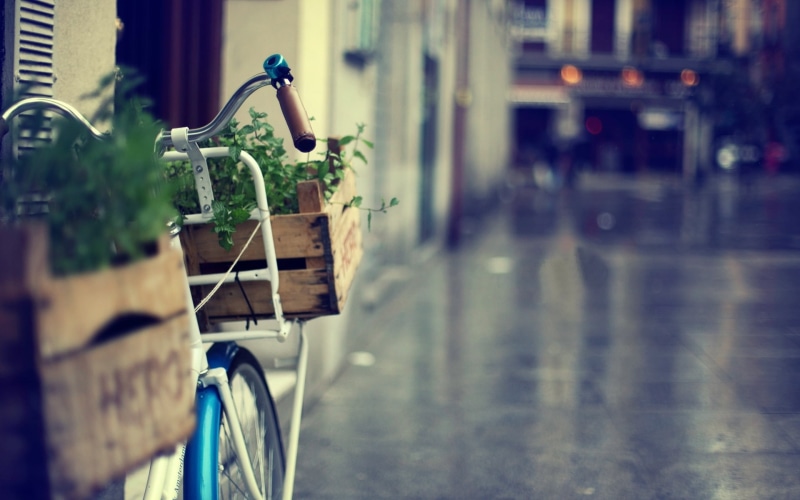  cityscape, amsterdam, summer, street, blur, outdoors, lifestyles, rainy season, town, widescreen, different, copy Space, old-fashioned, 1080P