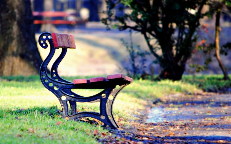 lava, shop, tree, bench, widescreen, square, plant, autumn, HD, outdoors, field, fullscreen, mood, chair, path, foliage, absence, greens, leaves