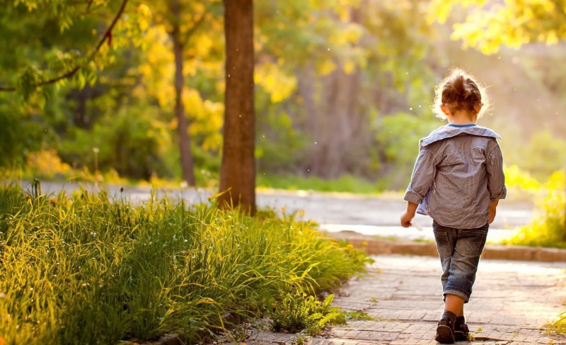 one Person, standing, cheerful, playing, s, tree, leaf, nature, action, autumn, sunlight, grass, leisure Activity, childhood, trees, season