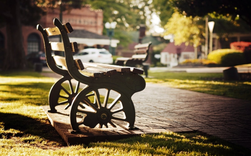 trees, leave, greens, sunlight, city, shop, nature, grass, leaves, wheel, full screen, day, mood, stay, absence, fullscreen, no people, square