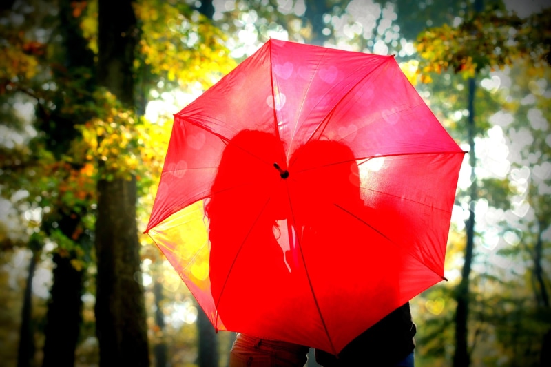 multi Colored, beauty In Nature, guy, day, silhouette, widescreen, 2K, parasol, beauty, mood, females, weather, foliage, shadow, blur, beautiful, kiss