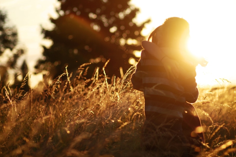 sun, autumn, recreational Pursuit, day, growth, fullscreen, beauty, healthy Lifestyle, relaxation, guy, silhouette, the sun, leisure Activity, cheerful