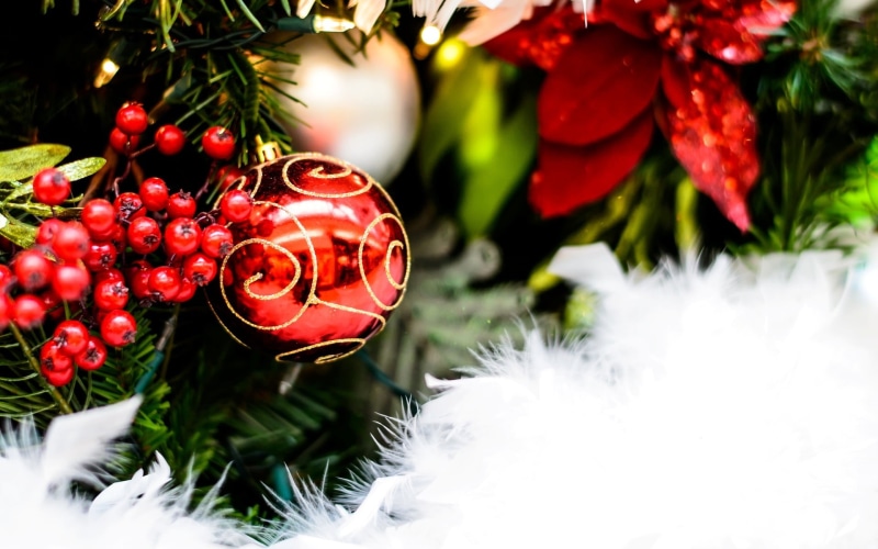 holiday - event, color Image, branch, widescreen, red, decoration, christmas Decoration, focus on foreground, white, ornate, winter, holidays And Celebrations