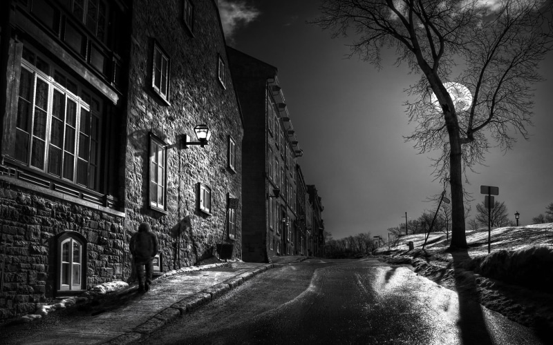 plant, snow, built structure, architecture, building, direction, cold temperature, night, walking, monochrome, person, transportation, road, tree, old