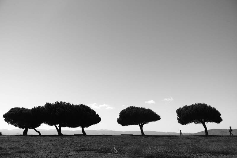 CA, Summicron, nature, run, silhouette, BLACK and WHITE, poetry, PHOTOS, Leica, blanco y negro, photojournalism, grayscale, ocean  sea, Monochrom, tumblr