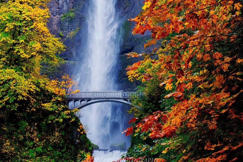 leaf, river, tree, bridge, Fall Colors, Falls, scenics, suspension, suspension bridge, bridge between, green, waterfall, green leaves, outdoors, steel