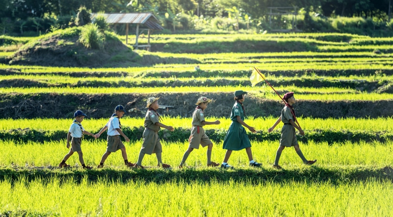 rural scene, face, agriculture, swear word, portrait, men, rice paddy, group of people, scenics - nature, asia, rice - cereal plant, baby, people, green