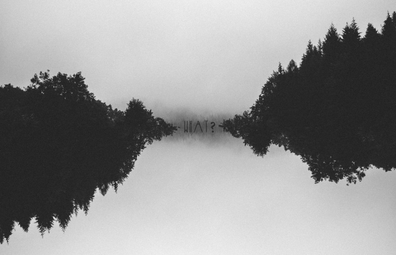 nature, no people, black, plant, monochrome, tranquility, tranquil scene, trees, grain, coniferous tree, sky, water, growth, outdoors, minimalism