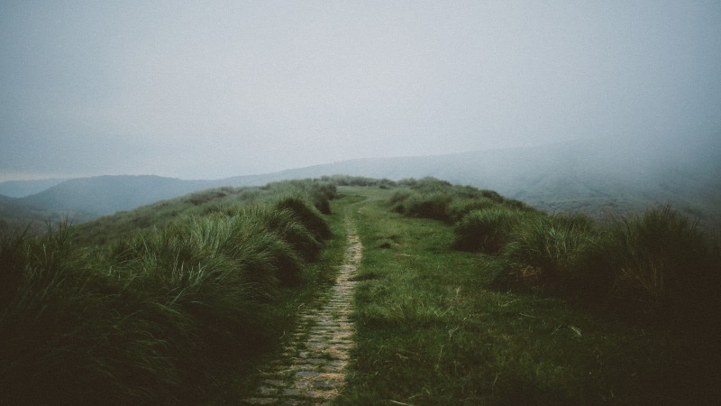 sky, 720P, green color, grass, plant, tranquil scene, footpath, land, outdoors, scenics - nature, mist, green, mountain, direction, faded, tranquility